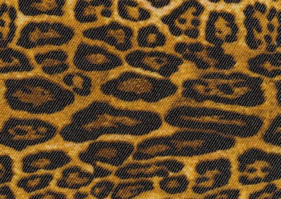 Leopardo Clásico