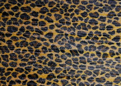 Manchitas Leopardo Beige